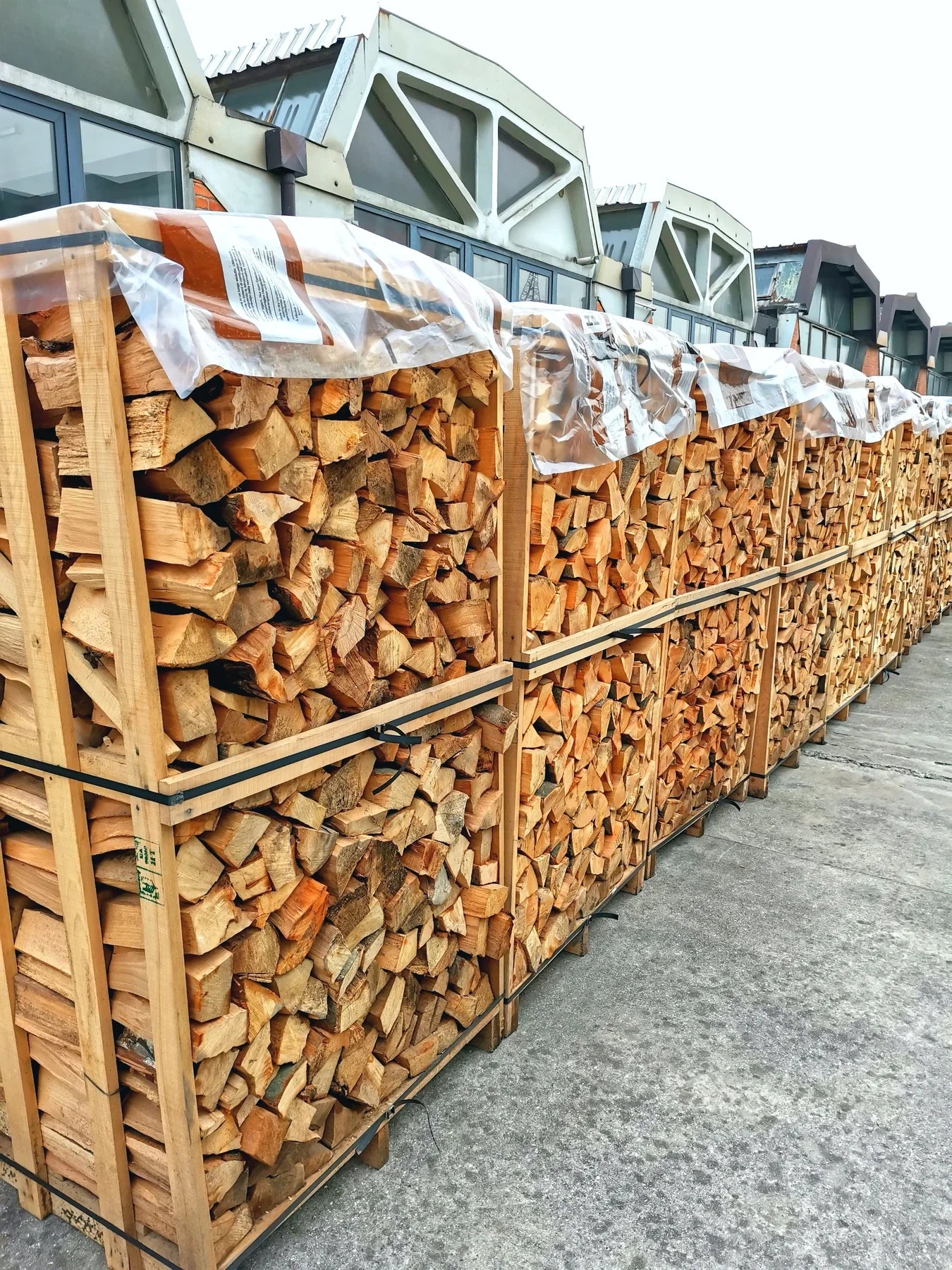 Legna da ardere, faggio, 25 cm